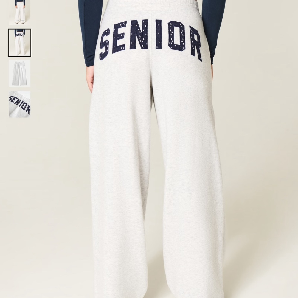 Hollister Viral Senior Graphic Baggy Sweatpants - NWT